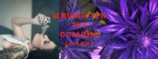 ешки Богданович