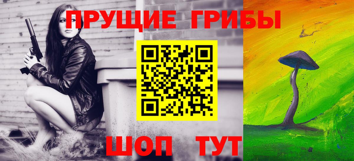 Псилоцибиновые грибы Psilocybe Подольск